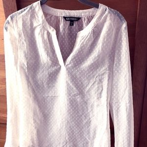 Sheer Notch-Collar Express Blouse